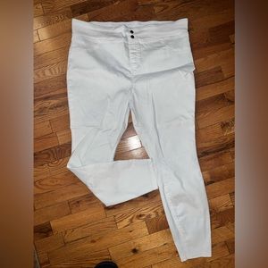 Terra & Sky white begging